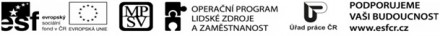 skoleni_foto